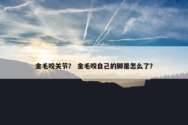 金毛咬关节？ 金毛咬自己的脚是怎么了？