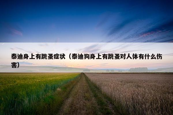 泰迪身上有跳蚤症状（泰迪狗身上有跳蚤对人体有什么伤害）