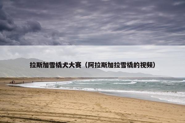 拉斯加雪橇犬大赛（阿拉斯加拉雪橇的视频）