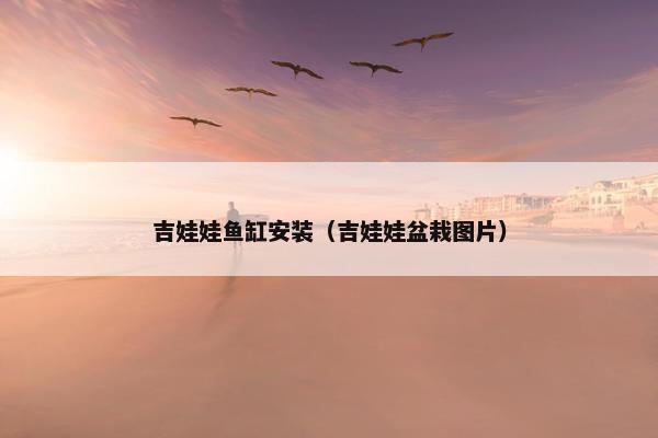 吉娃娃鱼缸安装（吉娃娃盆栽图片）