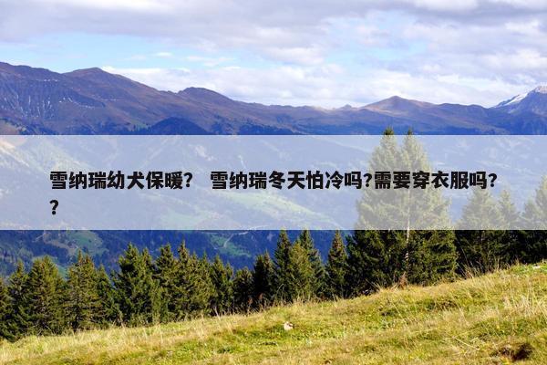 雪纳瑞幼犬保暖？ 雪纳瑞冬天怕冷吗?需要穿衣服吗?？