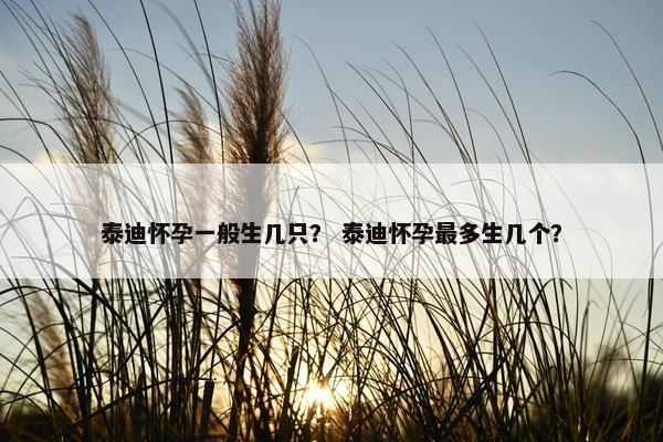泰迪怀孕一般生几只？ 泰迪怀孕最多生几个？