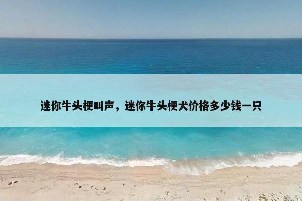 迷你牛头梗叫声，迷你牛头梗犬价格多少钱一只
