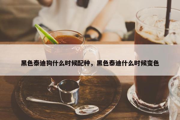 黑色泰迪狗什么时候配种，黑色泰迪什么时候变色