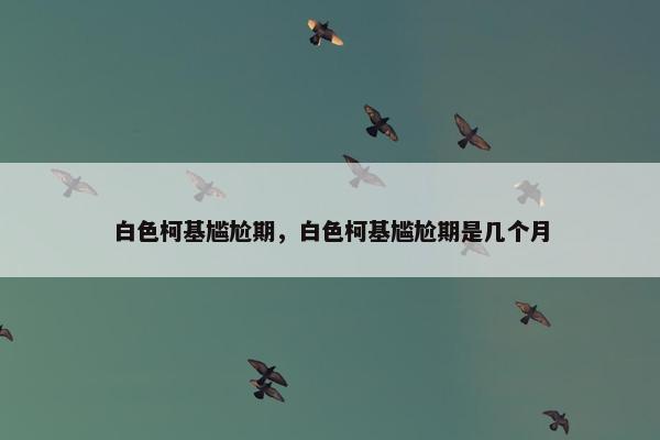 白色柯基尴尬期，白色柯基尴尬期是几个月