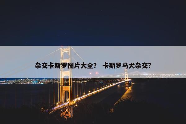 杂交卡斯罗图片大全？ 卡斯罗马犬杂交？