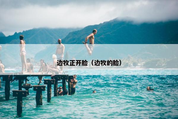 边牧正开脸（边牧的脸）