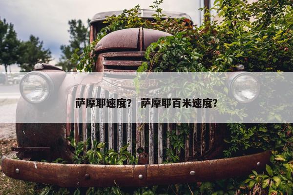 萨摩耶速度？ 萨摩耶百米速度？