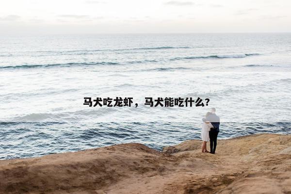 马犬吃龙虾，马犬能吃什么?