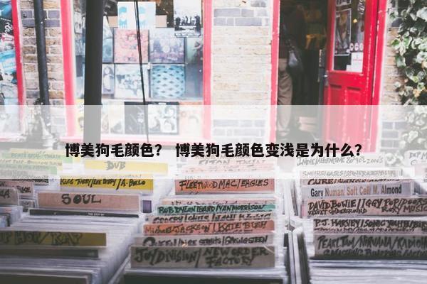 博美狗毛颜色？ 博美狗毛颜色变浅是为什么？