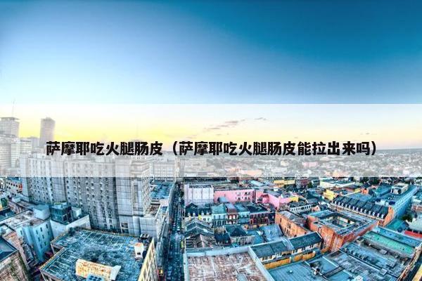 萨摩耶吃火腿肠皮（萨摩耶吃火腿肠皮能拉出来吗）