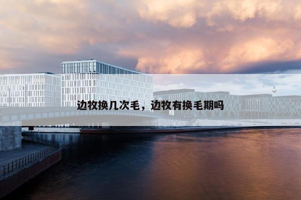边牧换几次毛，边牧有换毛期吗