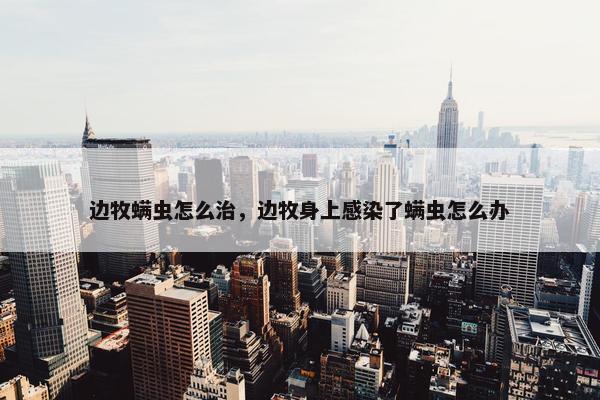 边牧螨虫怎么治，边牧身上感染了螨虫怎么办