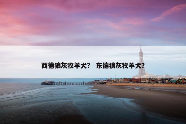 西德狼灰牧羊犬？ 东德狼灰牧羊犬？