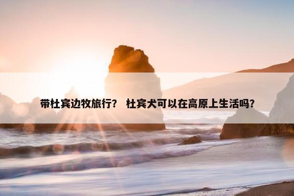 带杜宾边牧旅行？ 杜宾犬可以在高原上生活吗？