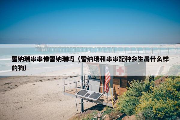 雪纳瑞串串像雪纳瑞吗（雪纳瑞和串串配种会生出什么样的狗）