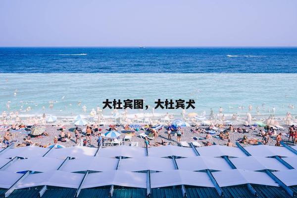 大杜宾图，大杜宾犬