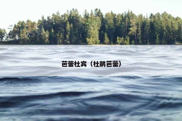 芭蕾杜宾（杜鹃芭蕾）