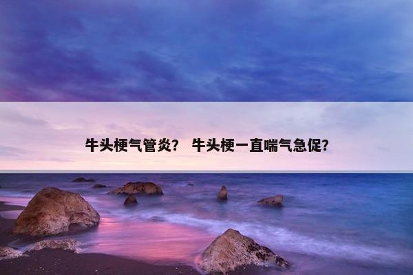 牛头梗气管炎？ 牛头梗一直喘气急促？