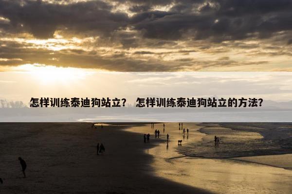 怎样训练泰迪狗站立？ 怎样训练泰迪狗站立的方法？