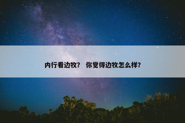 内行看边牧？ 你觉得边牧怎么样？