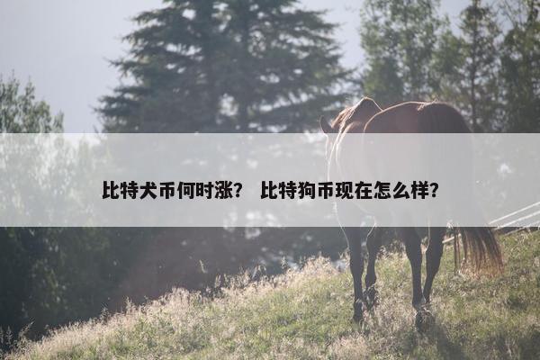 比特犬币何时涨？ 比特狗币现在怎么样？
