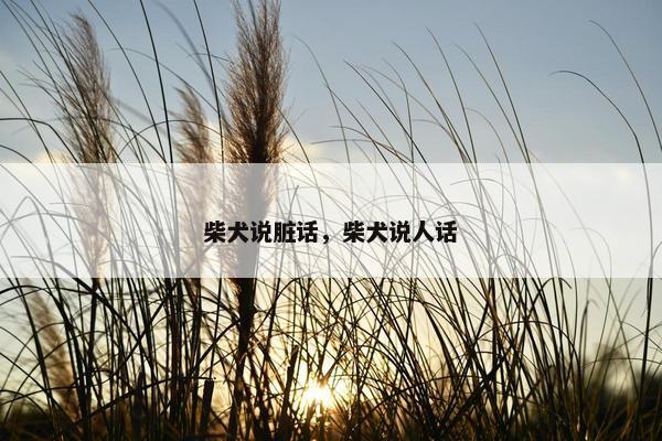 柴犬说脏话，柴犬说人话