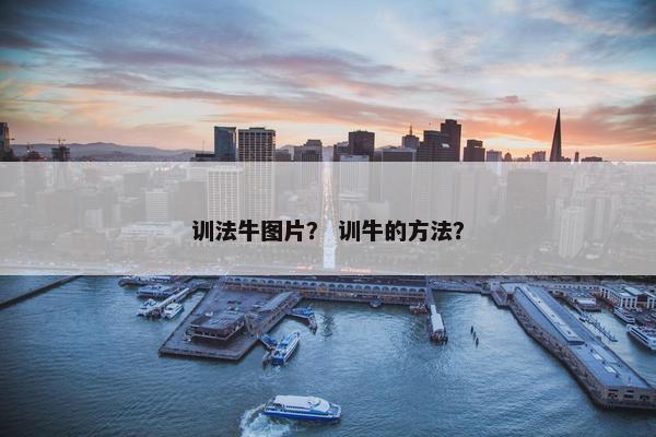 训法牛图片？ 训牛的方法？