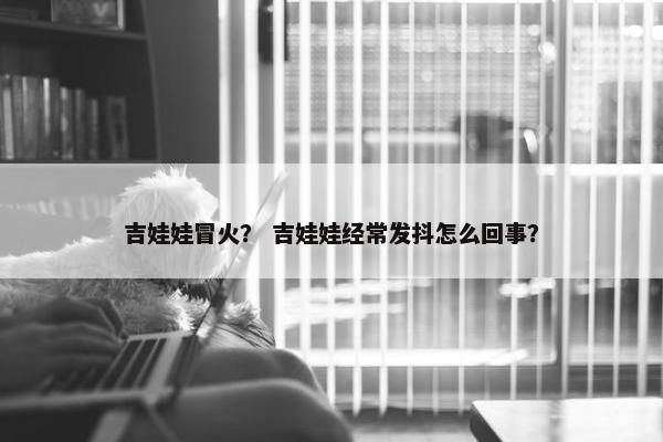吉娃娃冒火？ 吉娃娃经常发抖怎么回事？