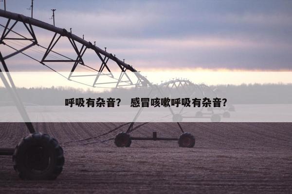 呼吸有杂音？ 感冒咳嗽呼吸有杂音？