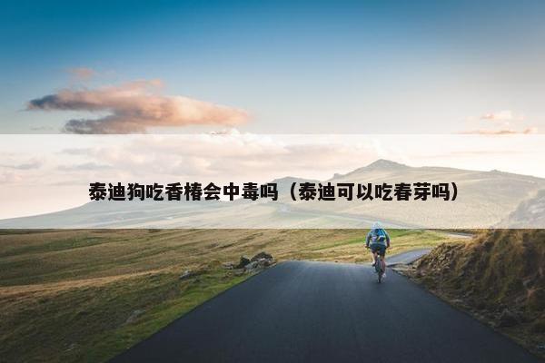 泰迪狗吃香椿会中毒吗（泰迪可以吃春芽吗）