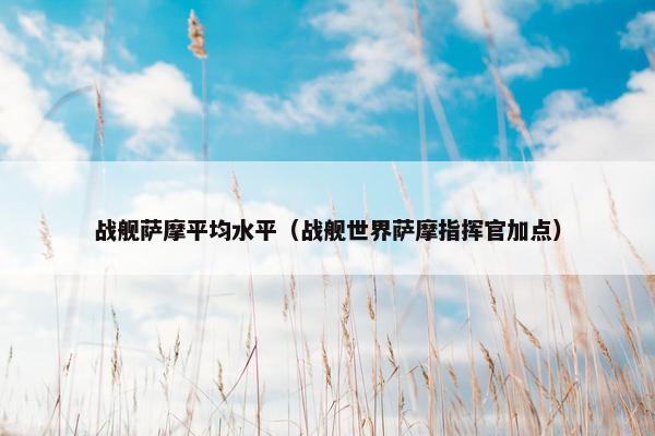 战舰萨摩平均水平（战舰世界萨摩指挥官加点）