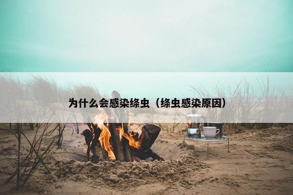 为什么会感染绦虫（绦虫感染原因）