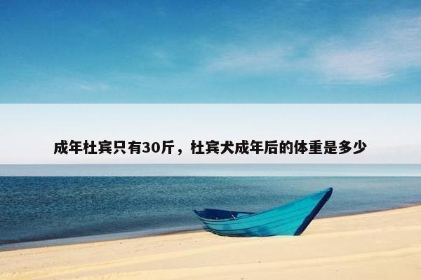 成年杜宾只有30斤，杜宾犬成年后的体重是多少