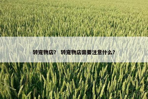 转宠物店？ 转宠物店需要注意什么？