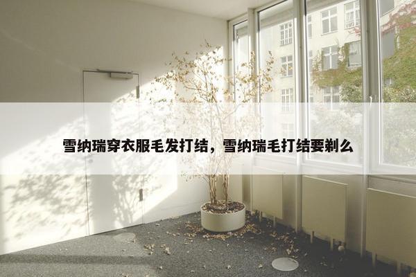 雪纳瑞穿衣服毛发打结，雪纳瑞毛打结要剃么