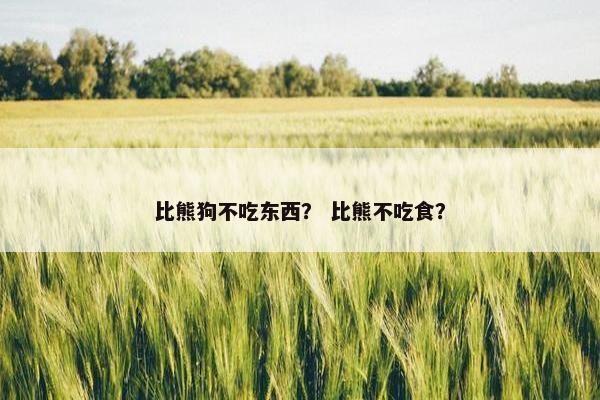 比熊狗不吃东西？ 比熊不吃食？