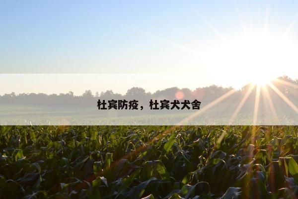 杜宾防疫，杜宾犬犬舍