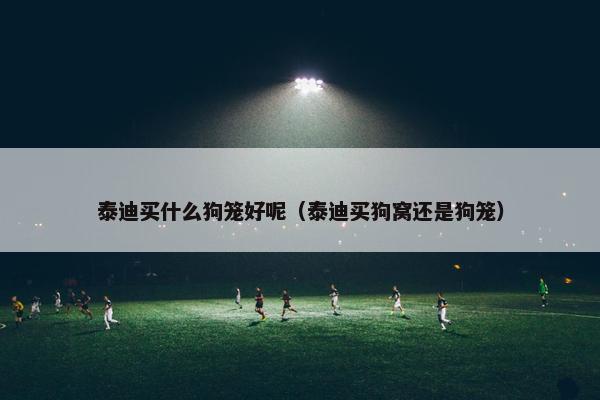 泰迪买什么狗笼好呢（泰迪买狗窝还是狗笼）