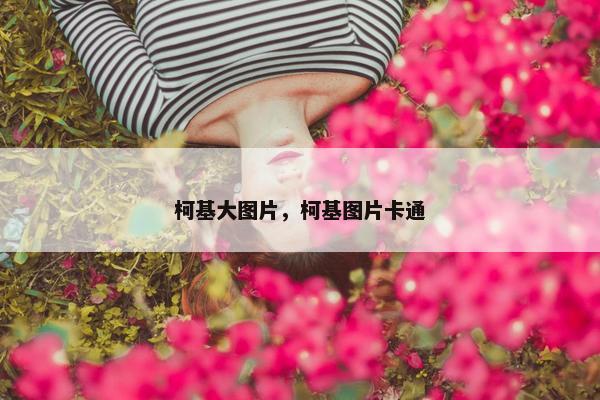 柯基大图片，柯基图片卡通