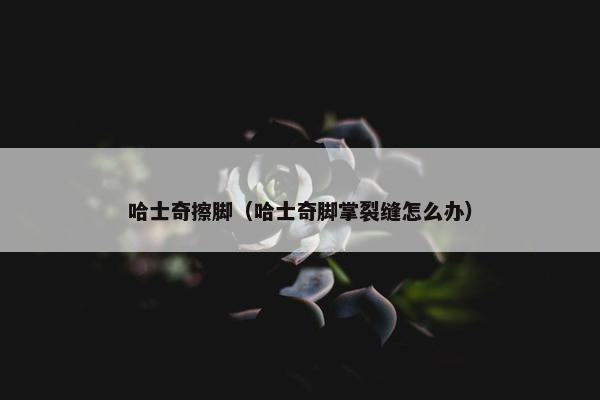 哈士奇擦脚（哈士奇脚掌裂缝怎么办）