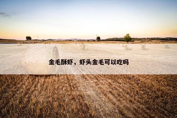 金毛酥虾，虾头金毛可以吃吗