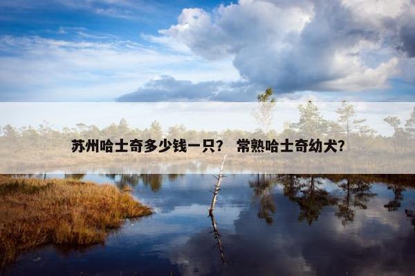 苏州哈士奇多少钱一只？ 常熟哈士奇幼犬？