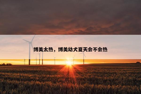 博美太热，博美幼犬夏天会不会热
