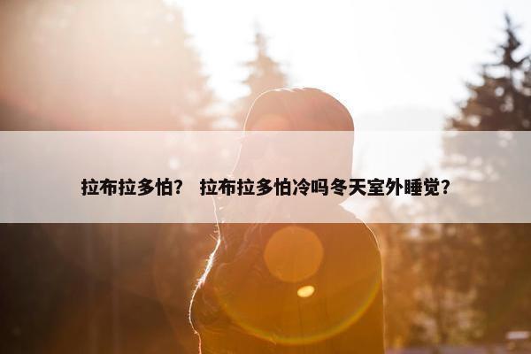 拉布拉多怕？ 拉布拉多怕冷吗冬天室外睡觉？