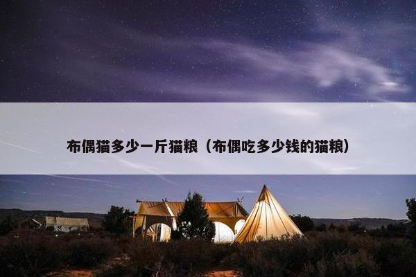 布偶猫多少一斤猫粮（布偶吃多少钱的猫粮）