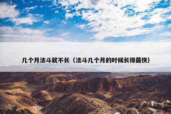 几个月法斗就不长（法斗几个月的时候长得最快）
