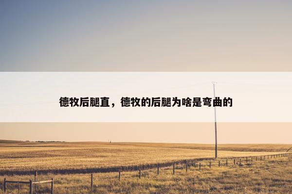 德牧后腿直，德牧的后腿为啥是弯曲的