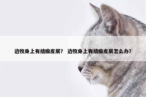 边牧身上有结痂皮屑？ 边牧身上有结痂皮屑怎么办？