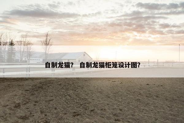 自制龙猫？ 自制龙猫柜笼设计图？